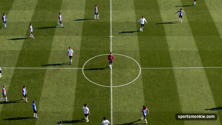 Diagram of the 4-1-4-1 formation showing four defenders, a holding midfielder, four midfielders, and one striker