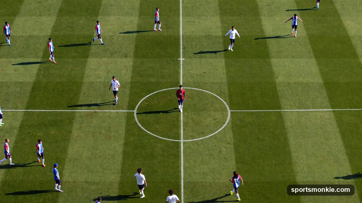 Diagram of the 4-1-4-1 formation showing four defenders, a holding midfielder, four midfielders, and one striker