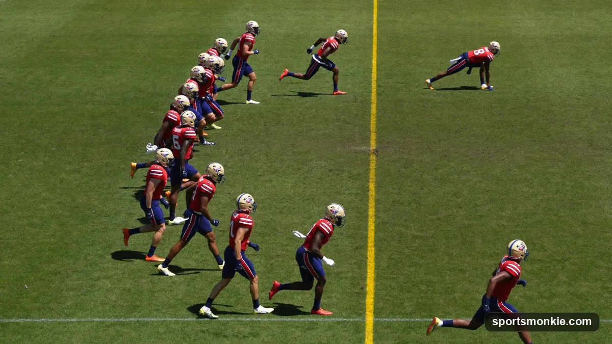 Diagram-style view of an American football offense lined up before the snap, showing quarterback, running back, receivers, tight end, and offensive line spots