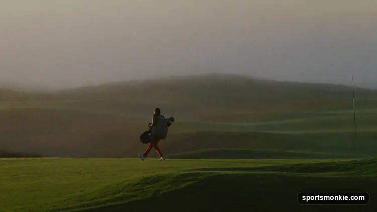Two golfers walking up a fairway with push carts, viewed from behind