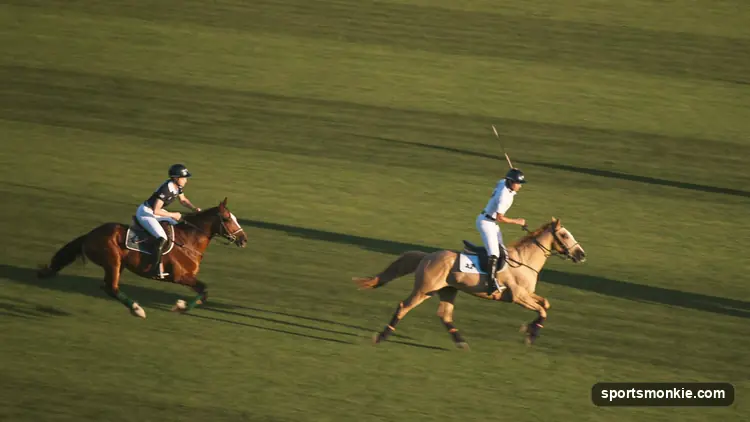 Polo pony and player during a chukka on a grass polo field