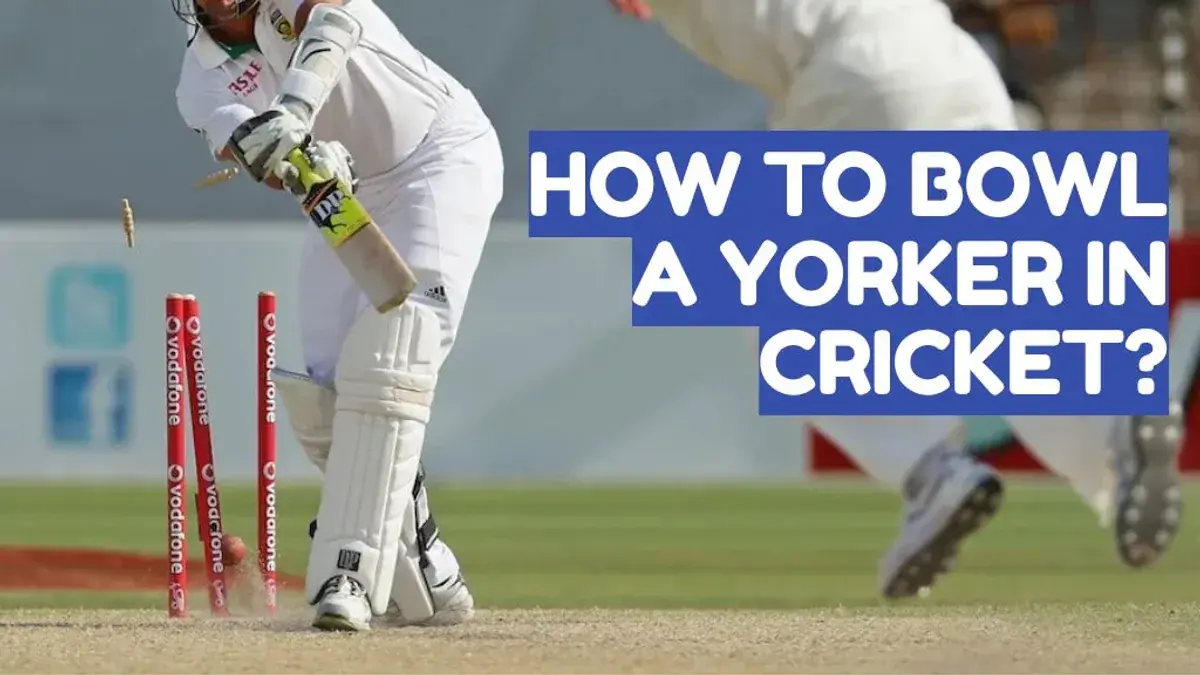How to Bowl a Yorker in Cricket: Step-by-Step Guide