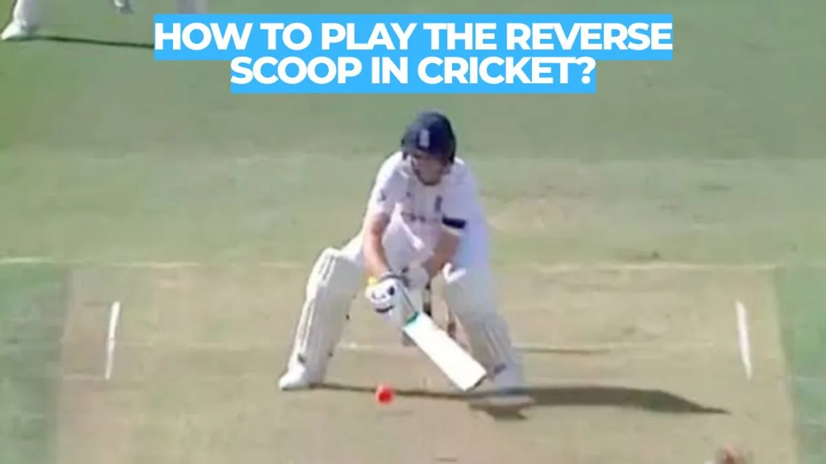 How to Play the Reverse Scoop in Cricket: Full Technique Guide