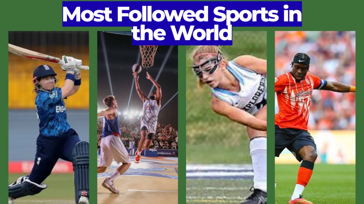 Most Followed Sports in the World: Global Fan Base Ranked