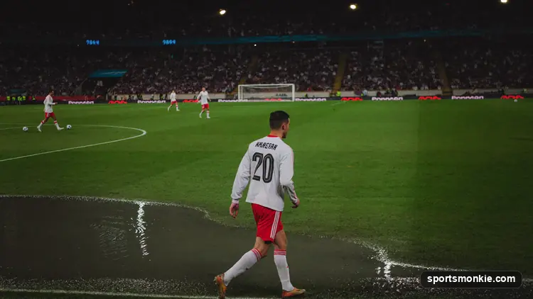 Soccer player in a national team jersey walking out at a packed World Cup stadium