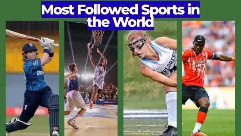 Most Followed Sports in the World: Global Fan Base Ranked