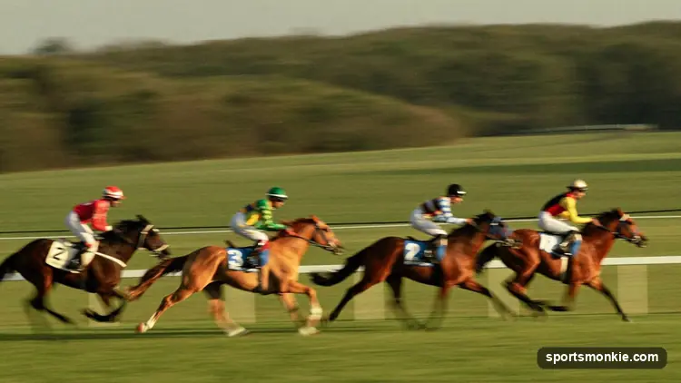 Racehorses breaking from the gate in a handicap race, jockeys carrying assigned weights
