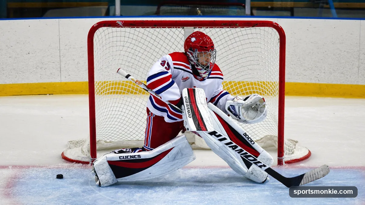 Overhead view of a hockey goal crease, the blue semicircle with red outline in front of the net, with a goaltender set inside it