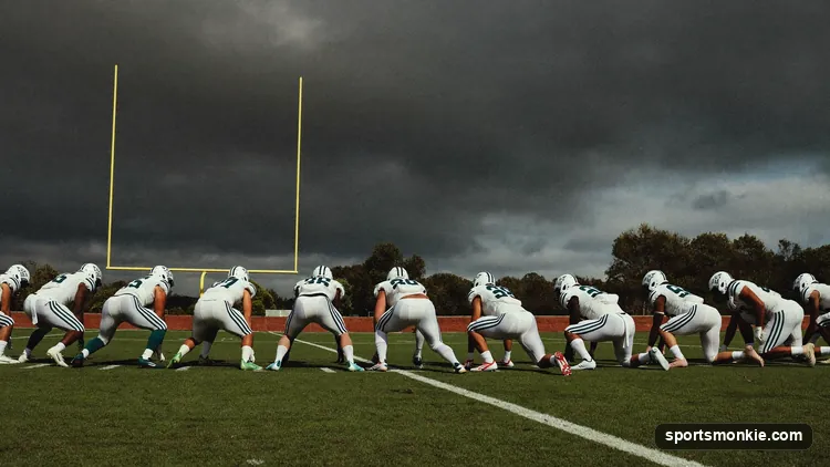 Diagram of a wildcat formation with a running back taking a direct snap and the quarterback split out wide
