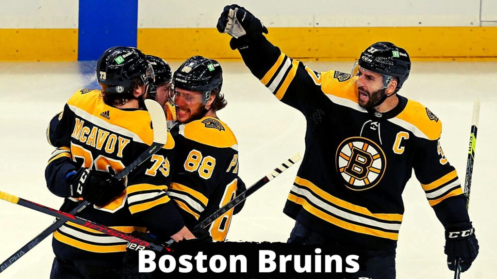 Boston Bruins Valuable NHL Teams in The World