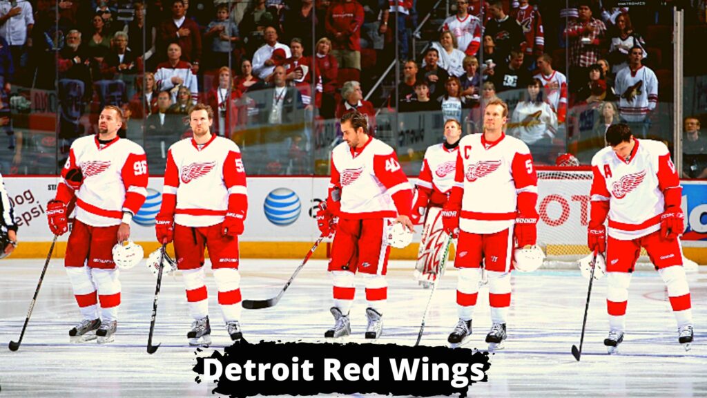 Detroit Red Wings Valuable NHL Teams in The World