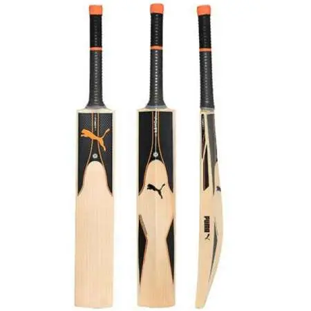 Puma Evopower Best Cricket Bat