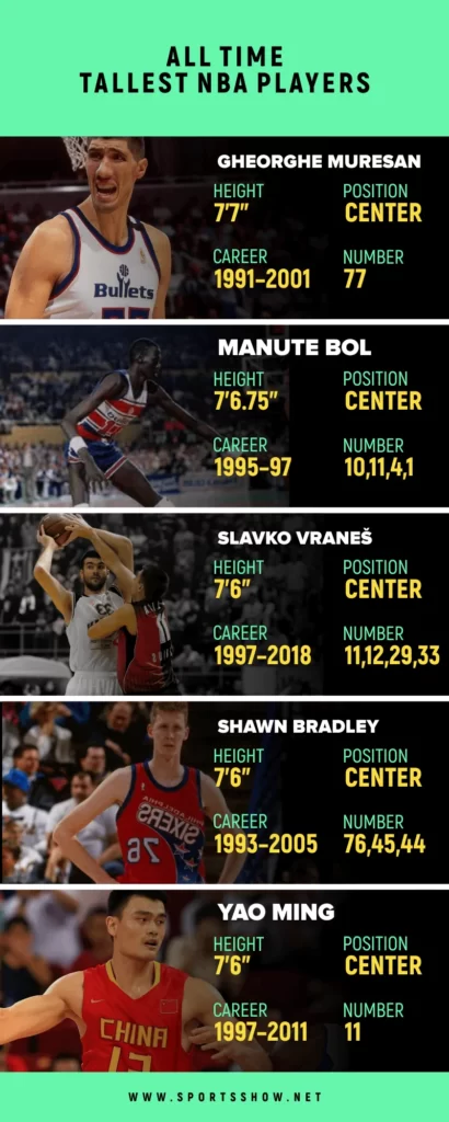  Infographics: Tallest NBA Players