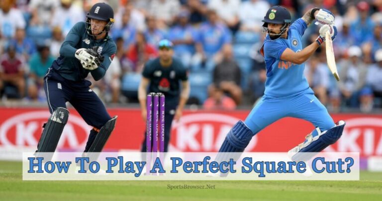 How To Play A Perfect Square Cut In Cricket? 2023 Ultimate Guide