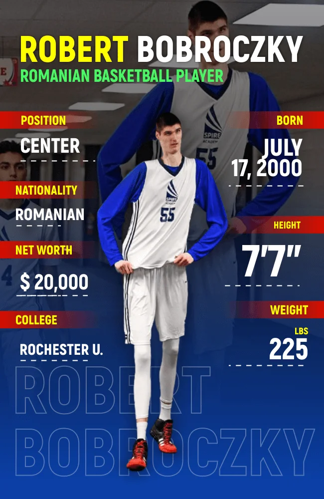 Robert Bobroczky Stats - Infographics