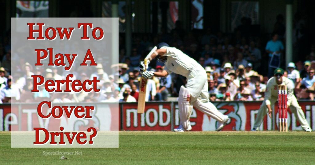 How To Play The Cover Drive In Cricket