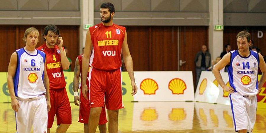 Slavko Vraneš  Tallest NBA Players