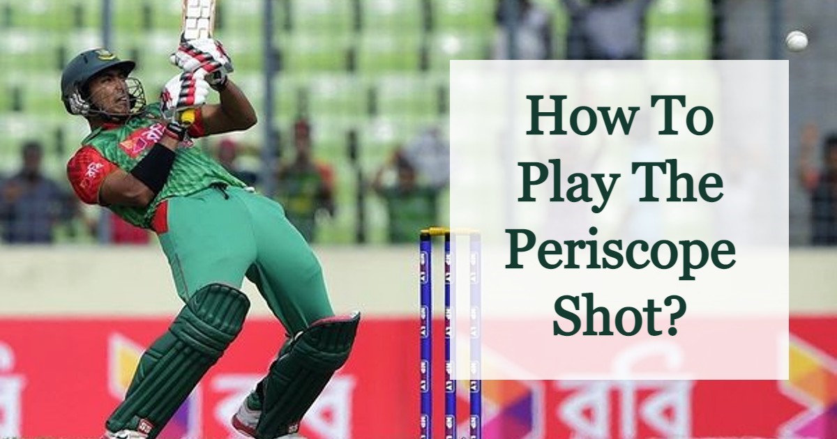 How to play the periscope shot in cricket - detailed guide in 2023.