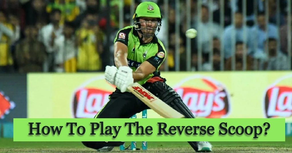 How to play the reverse scoop in cricket - comprehensive guide.