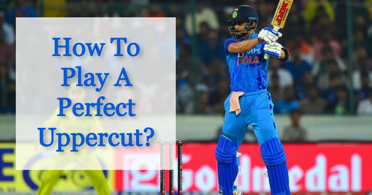 How to play an uppercut in cricket - detailed guide.