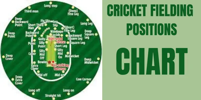 Cricket fielding positions chart