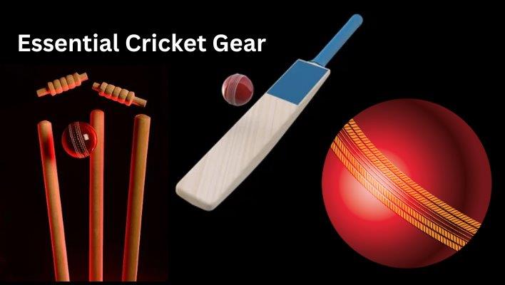 Cricket Accessories Essential Cricket Gear