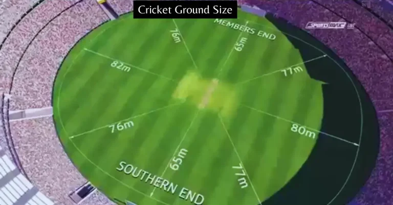 Cricket Ground Size: Dimension & Largest Cricket Stadium List