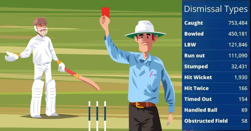 How Many Outs are in Cricket Types of Out in Cricket