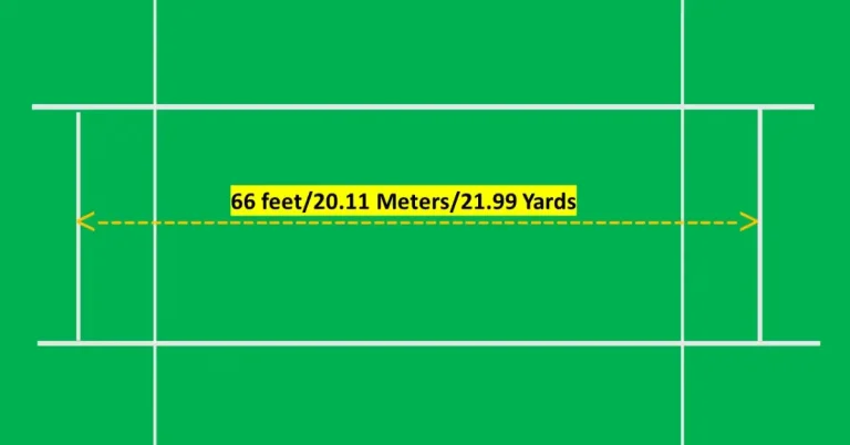 Cricket Pitch Length in Feet: Test, ODI, T20