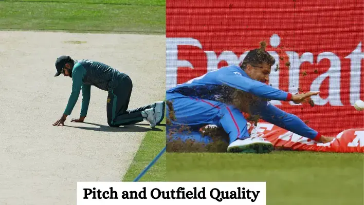 Cricket Pitch size and outfield quality