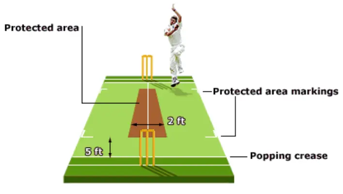 A bowler is bowling on a pictch and picture shows proping crease rules