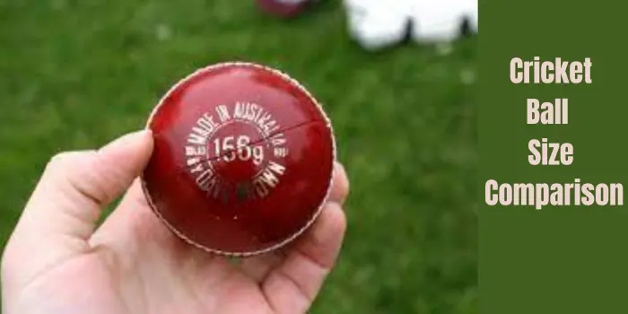 Cricket Ball Size Comparison